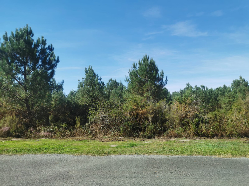 terrain à construire viabilisé de 307m2 à Le Barp