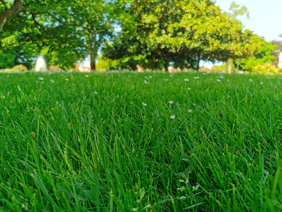 terrain à vendre viabilisé de 930m2 à Le Porge