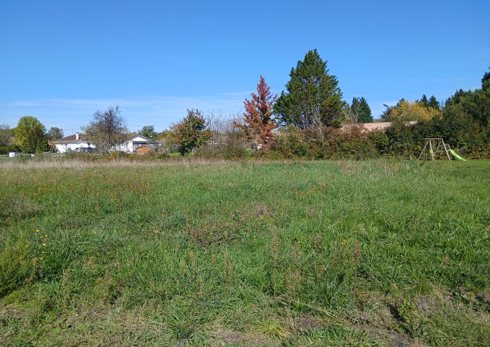 terrain disponible à Vertheuil