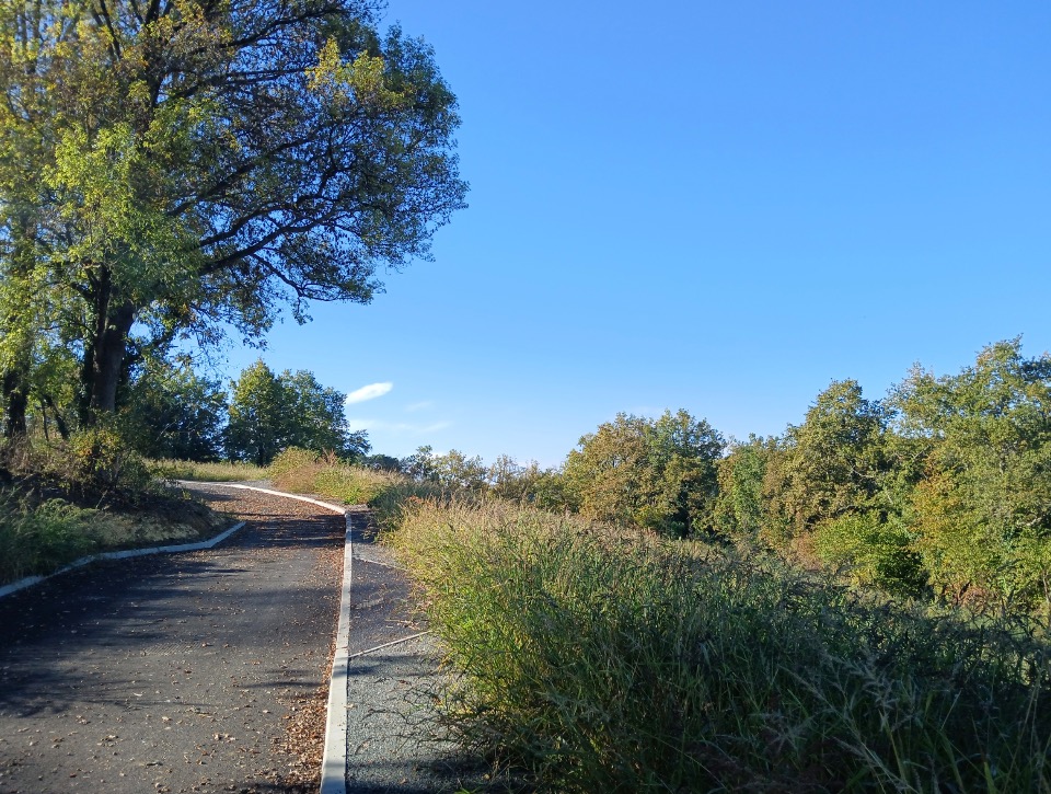 terrain à batir viabilisé de 903m2 à Camarsac