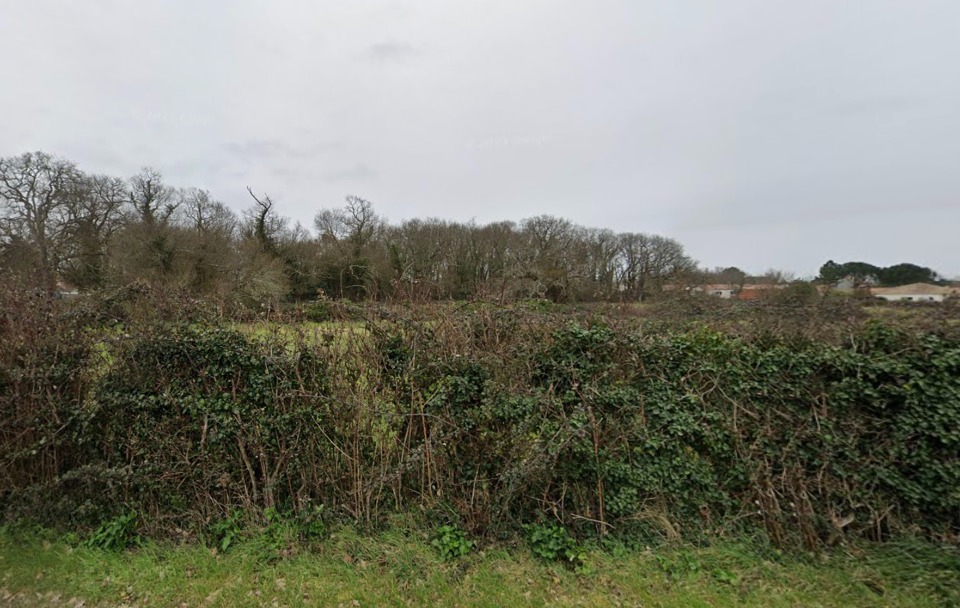 terrain viabilisé en vente à Étaules (17750)