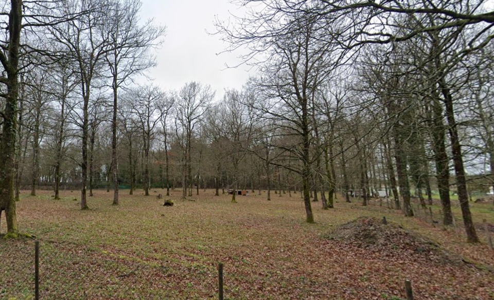 Acheter un terrain à vendre viabilisé de 312m2 disponible à Médis (17600)