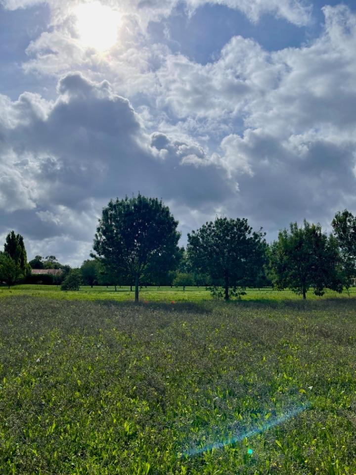 Ravissant terrain à construire viabilisé de 404m2 à Mornac-sur-Seudre (17113)