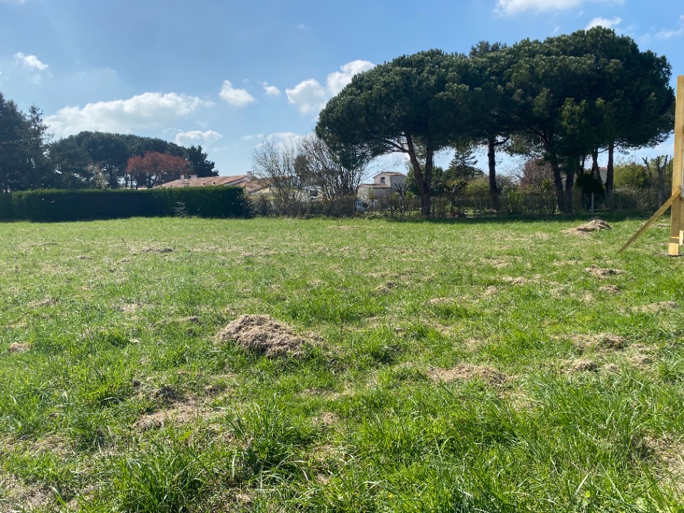 terrain viabilisé de 413m2 disponible à Saint-Augustin (17570)