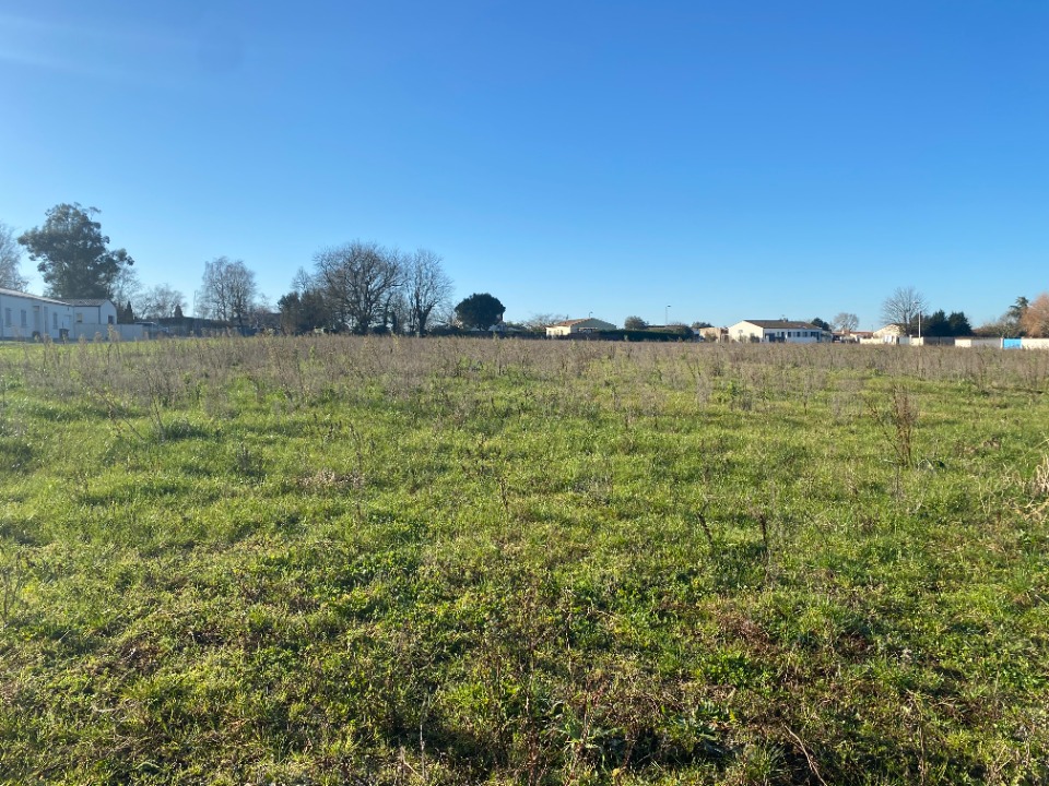 terrain à vendre viabilisé de 390m2 à Grézac