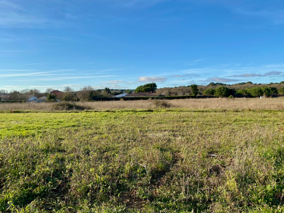 Agréable terrain en vente à Saint-Palais-sur-Mer