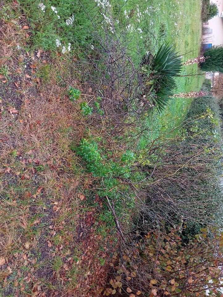 terrain à construire de 430m2 en vente à Marcheprime