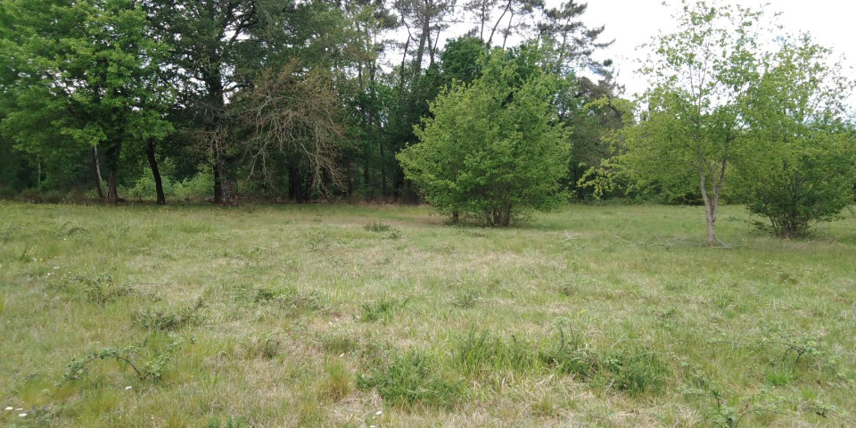 Agréable terrain viabilisé en vente à Saint-Barthélemy-de-Bellegarde