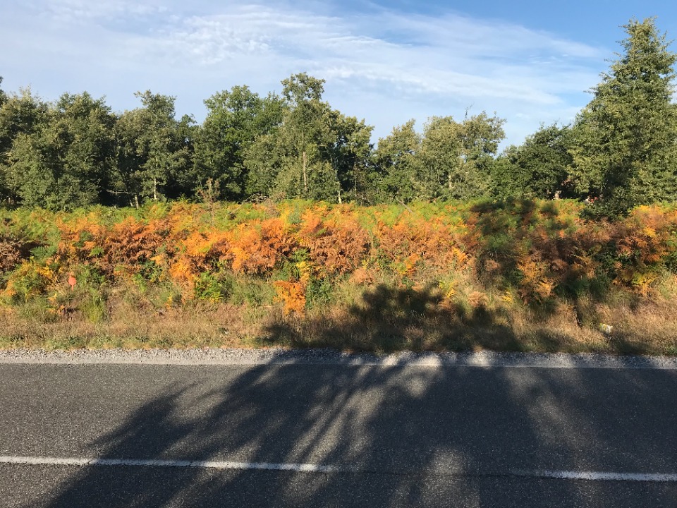 terrain à construire disponible à Le Temple (33680)