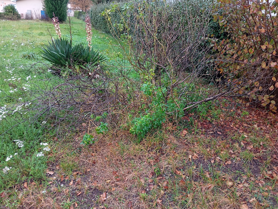 Beau terrain de 540m2 à Marcheprime