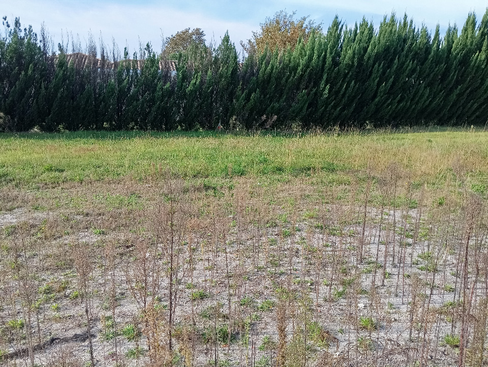 terrain à vendre disponible à Biganos (33380)