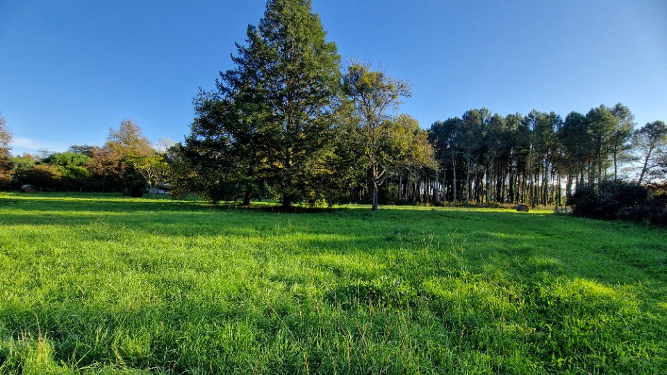 terrain à batir en vente à Uzeste (33730)