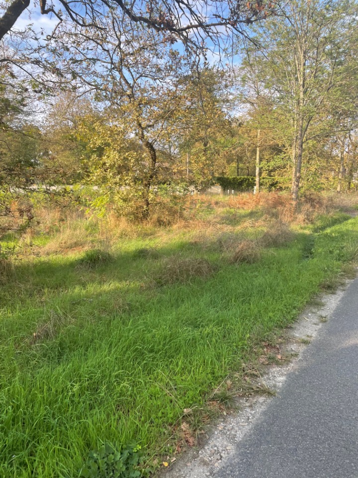 Très beau terrain à vendre viabilisé disponible à Le Pian-Médoc