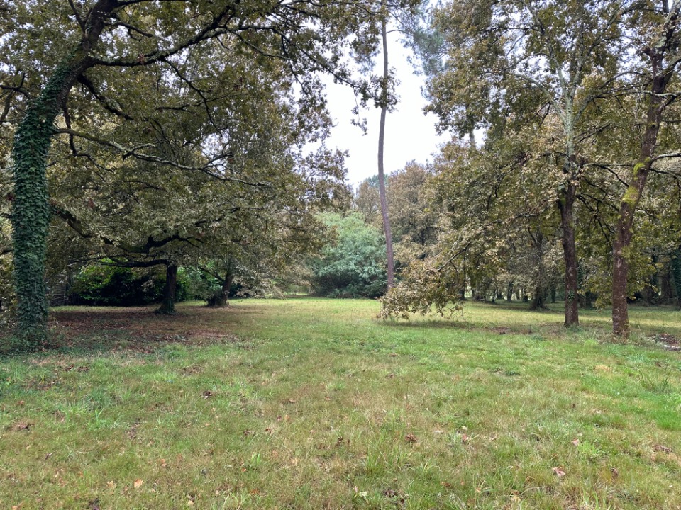 Superbe terrain viabilisé en vente à Gujan-Mestras (33470)