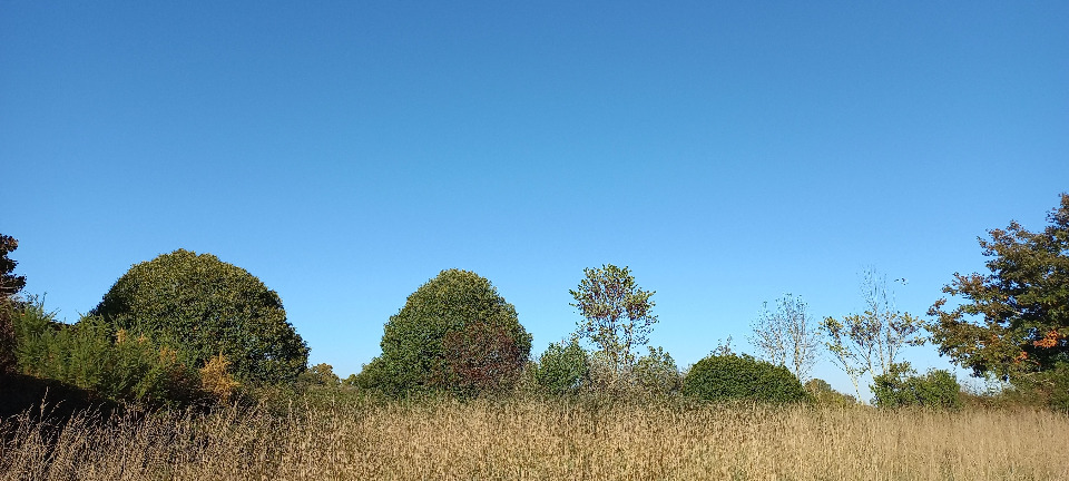 terrain à batir de 3500m2 disponible à Saint-Martial-d'Artenset (24700)