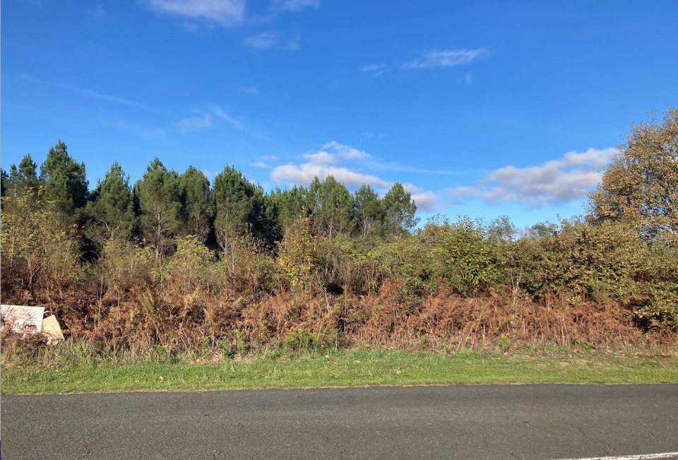 terrain à batir viabilisé à Balizac (33730)