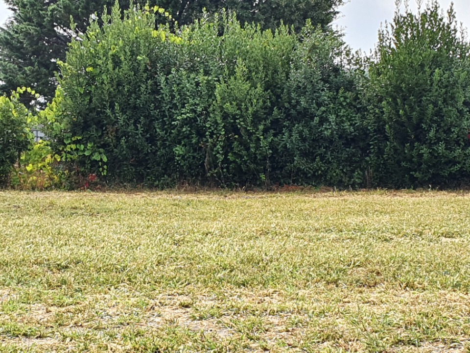 Ravissant terrain constructible viabilisé en vente à Samonac (33710)