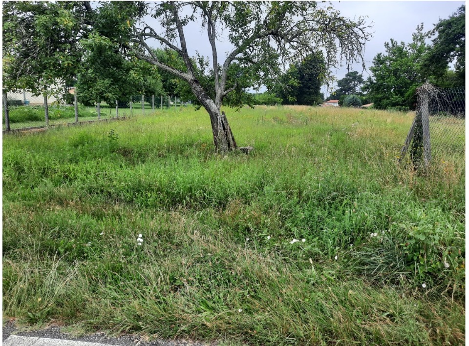 terrain à construire viabilisé de 500m2 à Pissos