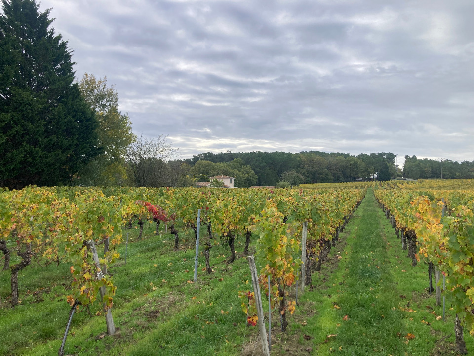 Sublime terrain à batir viabilisé à Saint-Sauveur-de-Puynormand (33660)