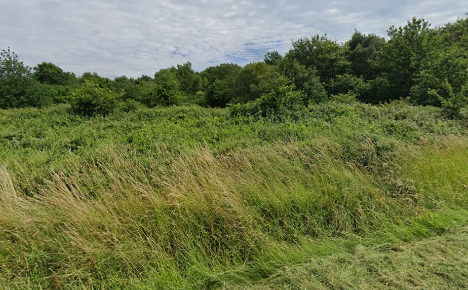 terrain à vendre viabilisé de 2000m2 en vente à Saint-Savin