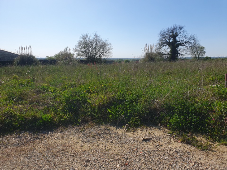 Joli terrain à batir à Saint-Gervais