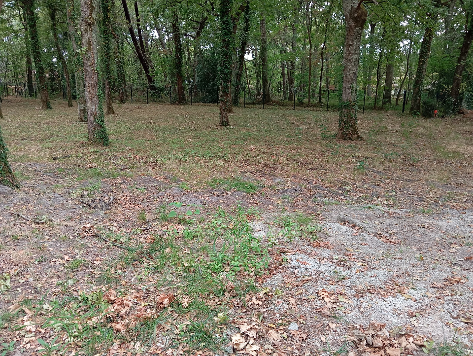 terrain constructible de 800m2 en vente à Audenge