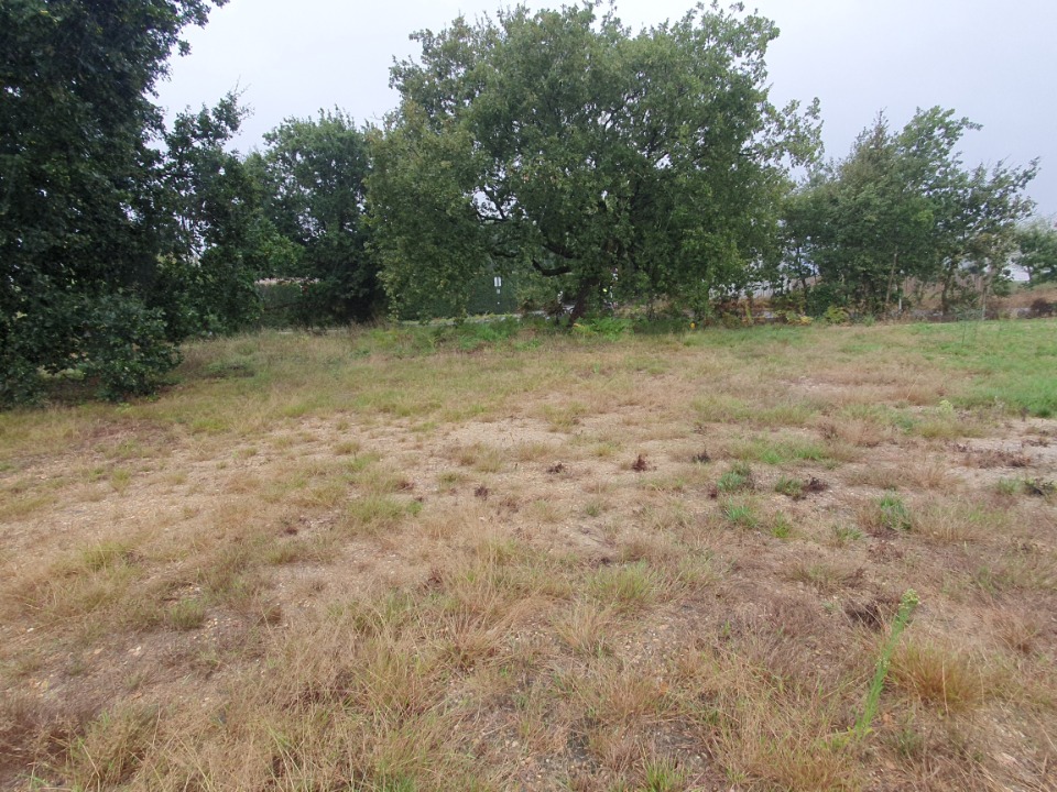 Offre de terrain à Bassens (33530)