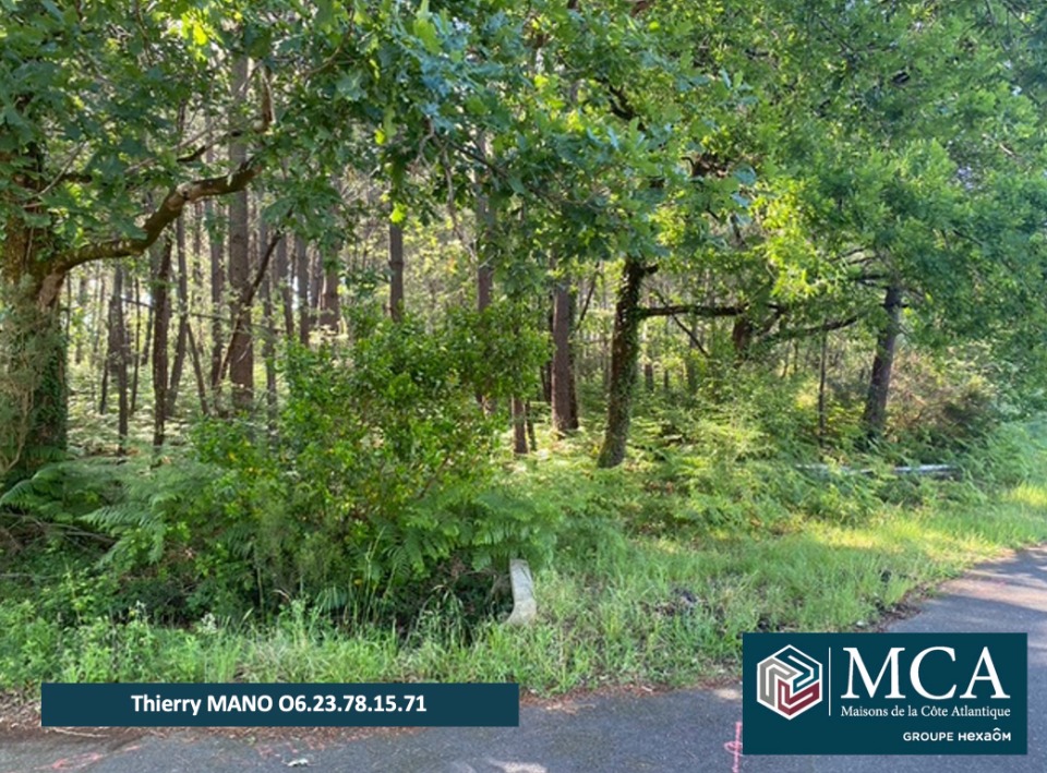 terrain viabilisé à Sanguinet