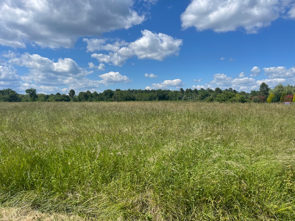 terrain constructible viabilisé à Pompéjac (33730)