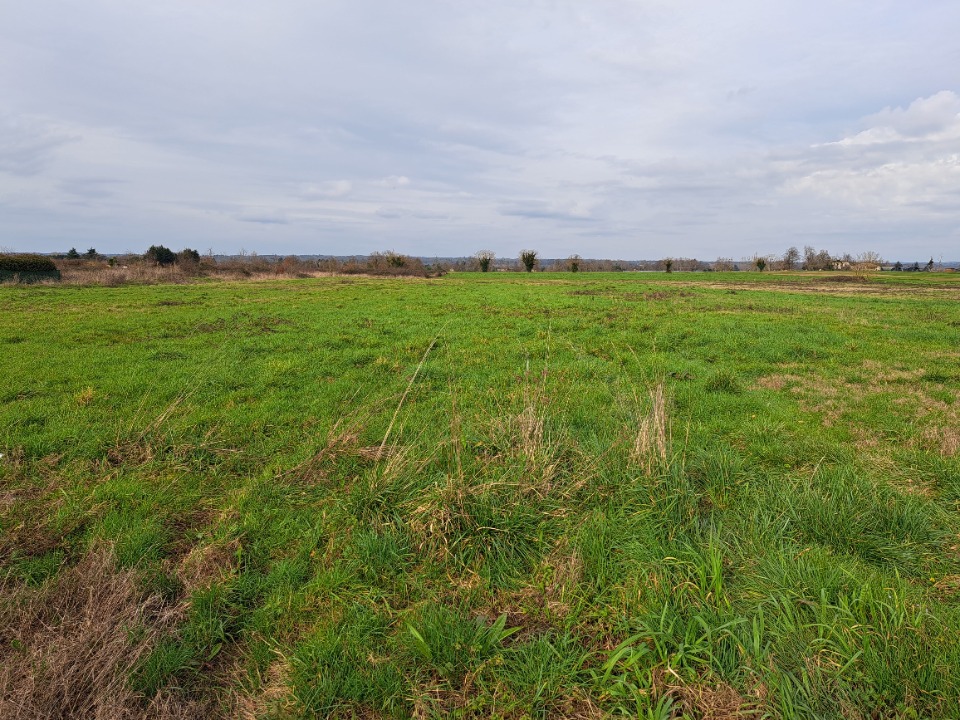 Ravissant terrain à batir à Lamonzie-Saint-Martin