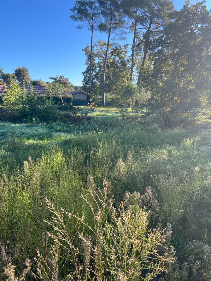 terrain à vendre viabilisé de 950m2 à Saint-Aubin-de-Médoc