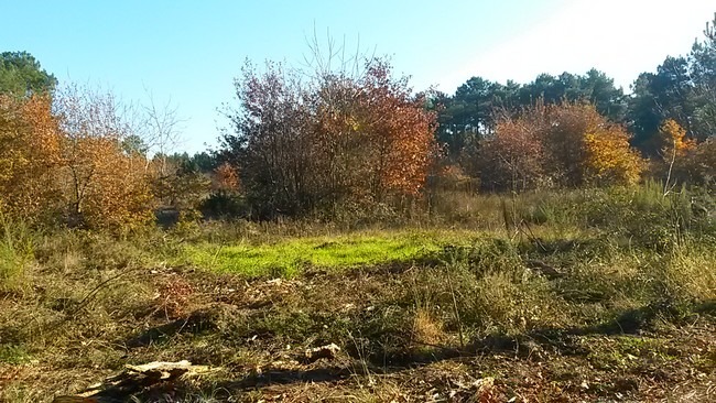 terrain à vendre de 493m2 en vente à Brach