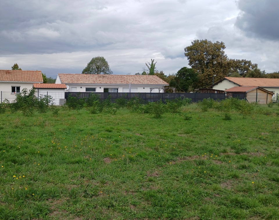 Beau terrain à vendre de 640m2 à Hostens (33125)