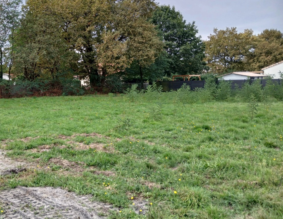 terrain à construire en vente à Le Barp