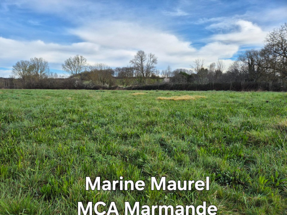 terrain à vendre viabilisé de 3298m2 disponible à Moustier