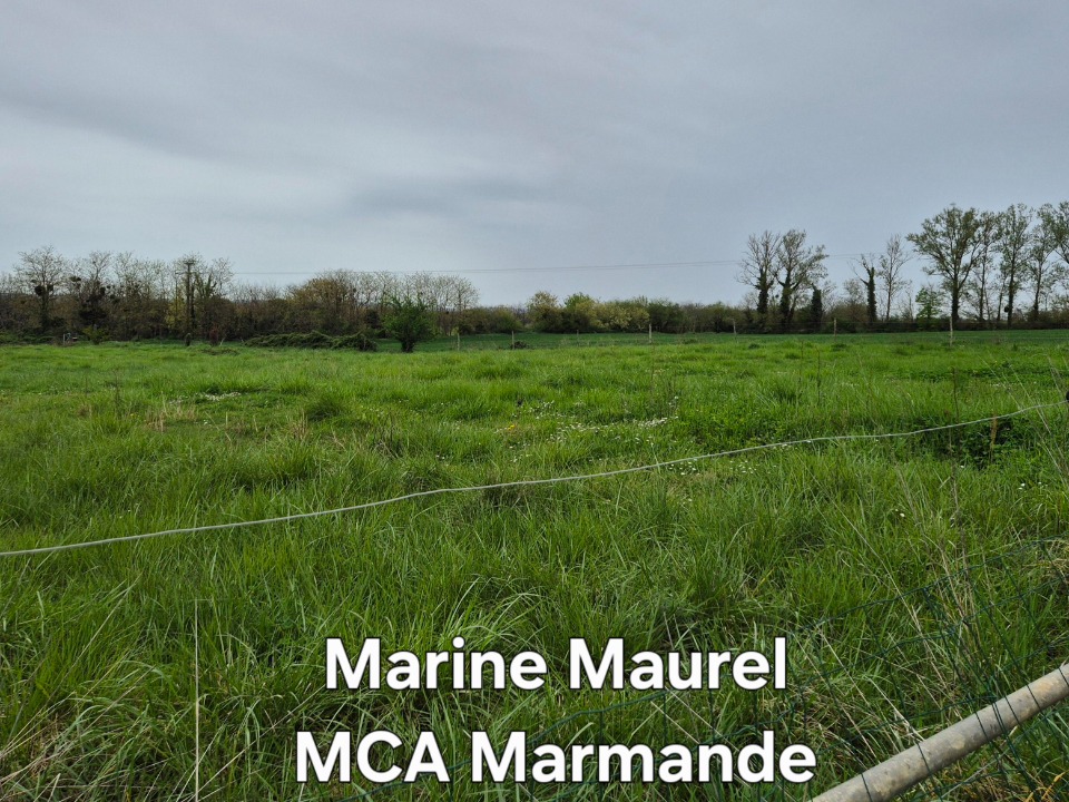 Charmant terrain à batir en vente à Fourques-sur-Garonne