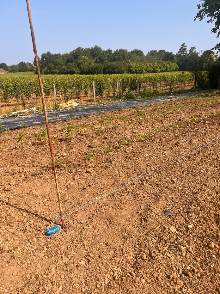 Joli terrain de 600m2 en vente à Créon