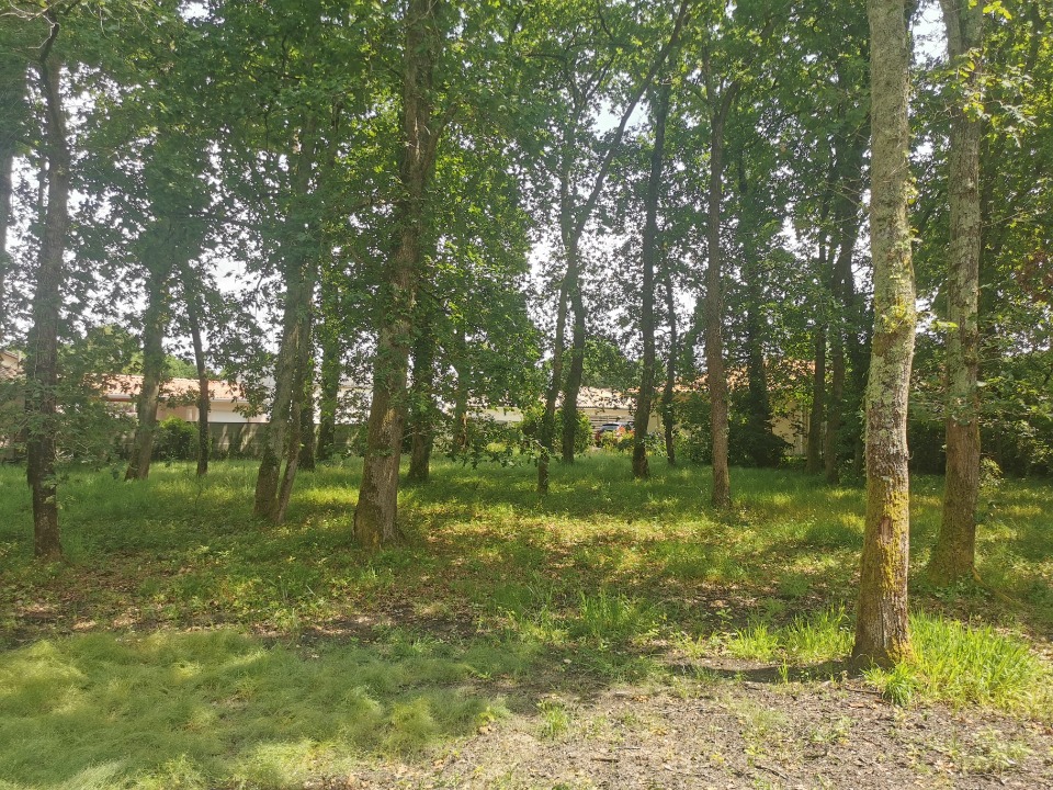 Très beau terrain constructible viabilisé de 1034m2 en vente à Audenge