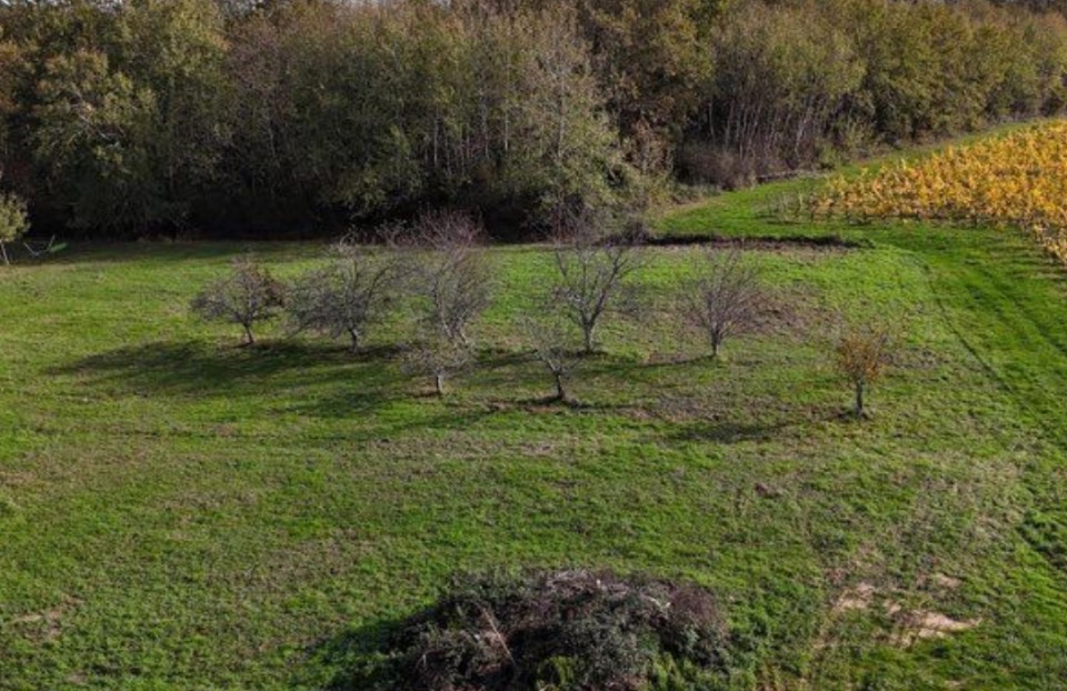 Offre de terrain à vendre de 2500m2 en vente à Saint-Selve (33650)