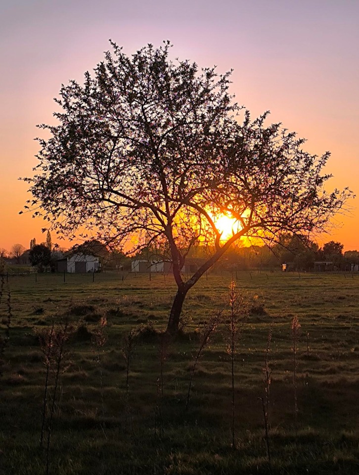 terrain à batir de 550m2 disponible à Sablons (33910)
