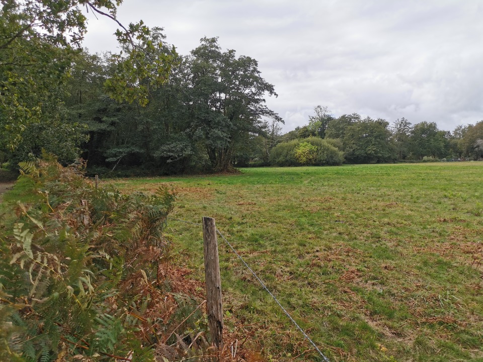 Ravissant terrain à vendre viabilisé disponible à Le Barp