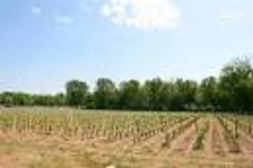 terrain constructible viabilisé en vente à Cérons