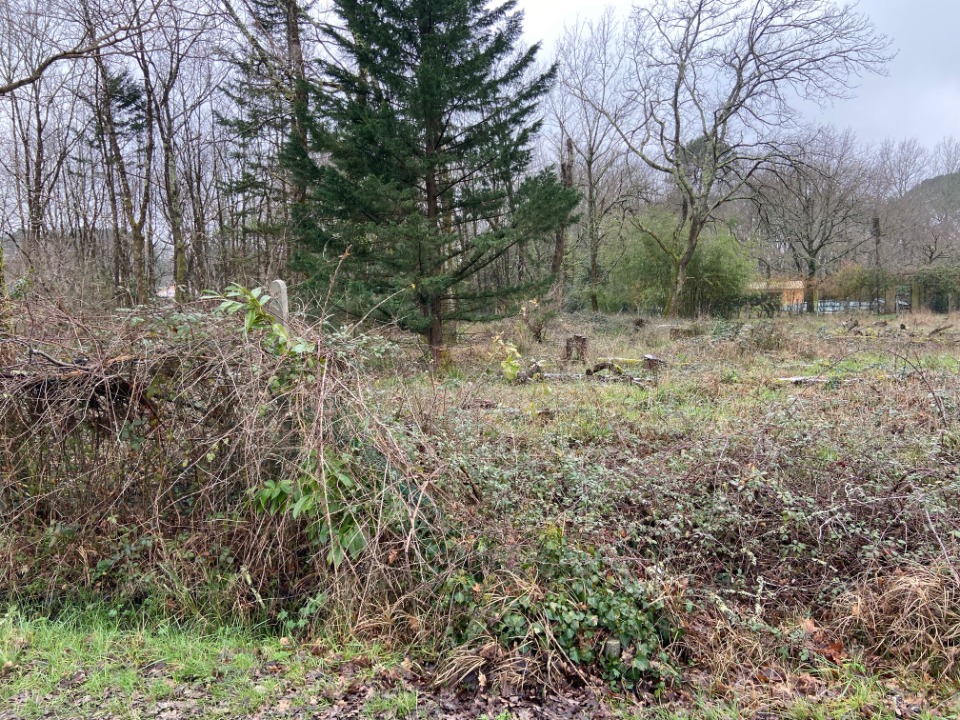Offre de terrain viabilisé de 503m2 disponible à Léognan (33850)