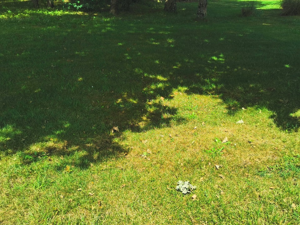 terrain viabilisé à Saint-Maixant (33490)