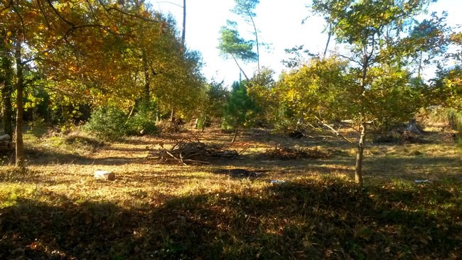terrain à batir viabilisé à Audenge