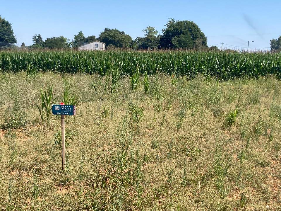 terrain à construire en vente à Balanzac (17600)