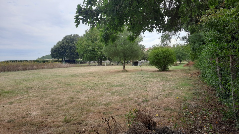 terrain à construire de 800m2 en vente à Lesparre-Médoc (33340)