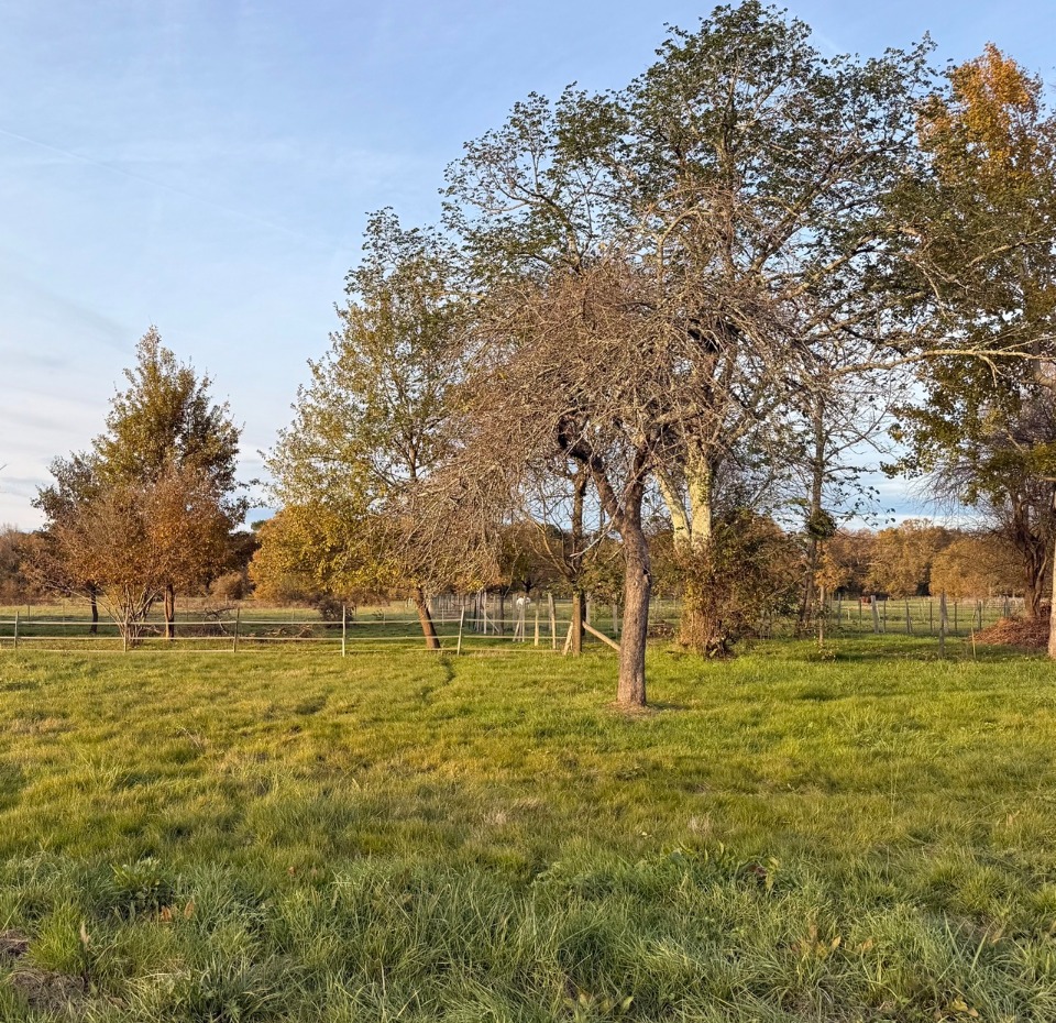 Magnifique terrain constructible viabilisé de 800m2 en vente à Prigonrieux