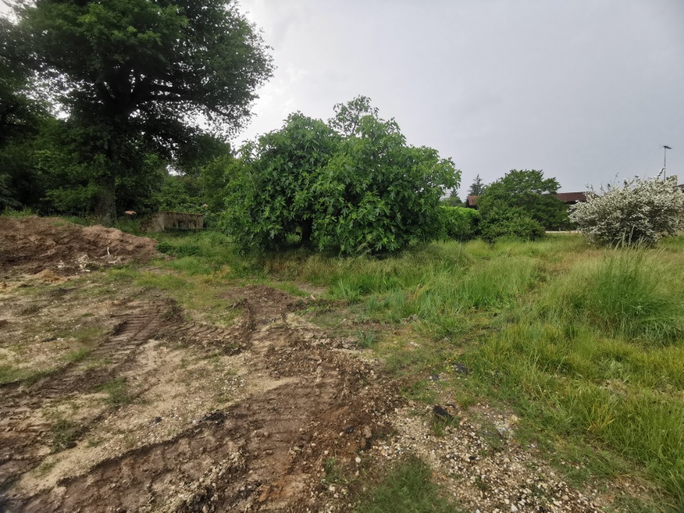 terrain à vendre de 675m2 en vente à Roaillan