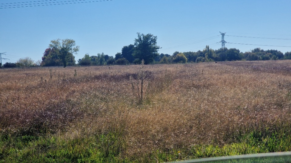 terrain constructible viabilisé de 1500m2 à Saint-Savin (33920)